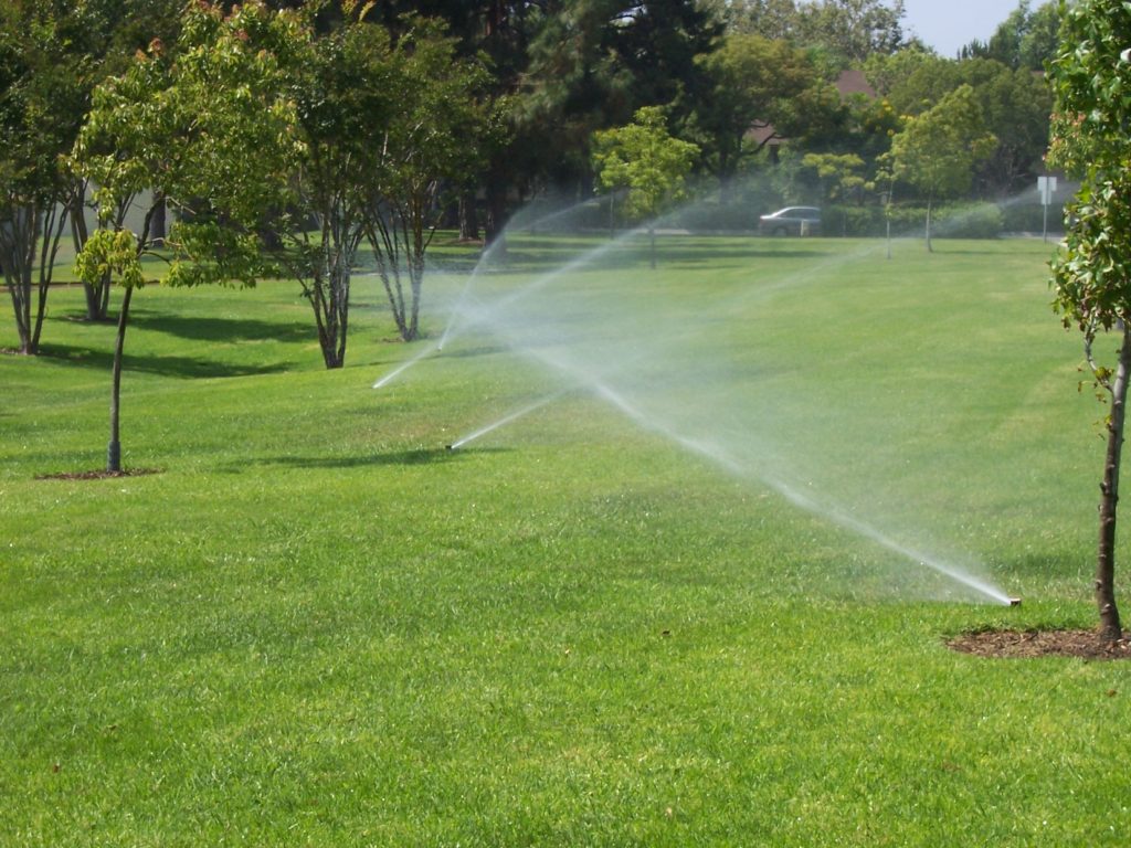 Summer Irrigation Tips | Mission Landscape Companies